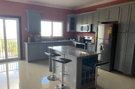 3 Bedrooms 3 Bathrooms, Apartment for Rent in Kingston 19