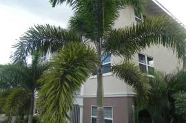 2 Bedrooms 2 Bathrooms, Apartment for Rent in Kingston 6