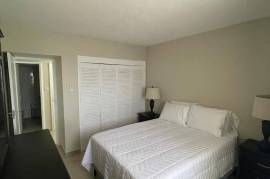 2 Bedrooms 2 Bathrooms, Apartment for Rent in Kingston 14