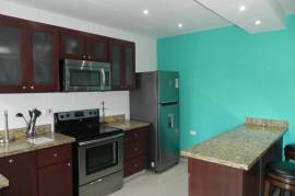 1 Bedrooms 1 Bathrooms, Apartment for Rent in Montego Bay