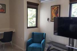 1 Bedrooms 2 Bathrooms, Apartment for Rent in Kingston 6