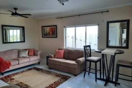 1 Bedrooms 2 Bathrooms, Apartment for Rent in Kingston 8