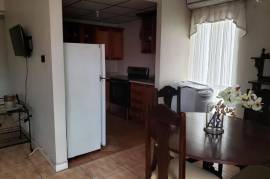 1 Bedrooms 1 Bathrooms, Apartment for Rent in Kingston 10