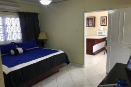 1 Bedrooms 1 Bathrooms, Apartment for Rent in Montego Bay