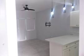 1 Bedrooms 2 Bathrooms, Apartment for Rent in Kingston 8