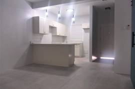 1 Bedrooms 2 Bathrooms, Apartment for Rent in Kingston 8