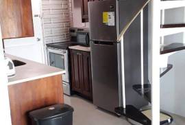 1 Bedrooms 2 Bathrooms, Apartment for Rent in Kingston 5