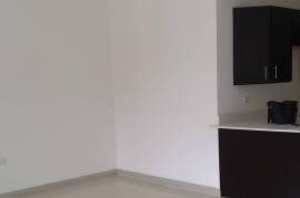 1 Bedrooms 1 Bathrooms, Apartment for Rent in Kingston 19