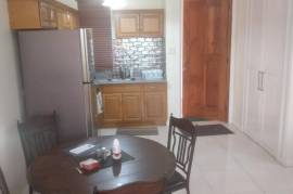 1 Bedrooms 1 Bathrooms, Apartment for Rent in Kingston 10