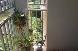 2 Bedrooms 1 Bathrooms, Apartment for Rent in Kingston 10