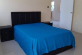 1 Bedrooms 2 Bathrooms, Apartment for Rent in Kingston 20