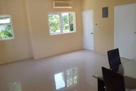 1 Bedrooms 2 Bathrooms, Apartment for Rent in Kingston 20