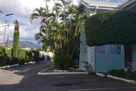 1 Bedrooms 1 Bathrooms, Apartment for Rent in Kingston 6