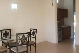 1 Bedrooms 1 Bathrooms, Apartment for Rent in Kingston 6