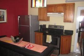 1 Bedrooms 1 Bathrooms, Apartment for Rent in Kingston 8