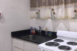 1 Bedrooms 1 Bathrooms, Apartment for Rent in Kingston 6