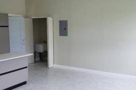 1 Bathrooms, Apartment for Rent in Kingston 6