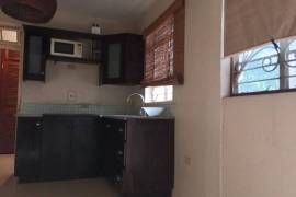 1 Bedrooms 1 Bathrooms, Apartment for Rent in Kingston 6