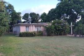 1 Bedrooms 1 Bathrooms, Apartment for Rent in Kingston 6