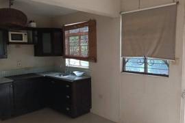 1 Bedrooms 1 Bathrooms, Apartment for Rent in Kingston 6