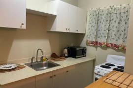 1 Bedrooms 1 Bathrooms, Apartment for Rent in Kingston 10