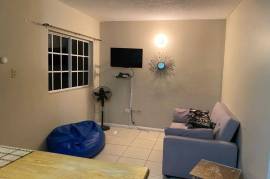 1 Bedrooms 1 Bathrooms, Apartment for Rent in Kingston 10