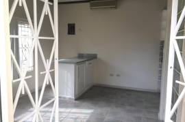 1 Bedrooms 2 Bathrooms, Apartment for Rent in Kingston 19