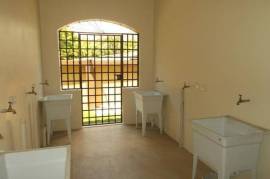 1 Bedrooms 1 Bathrooms, Apartment for Rent in Kingston 10