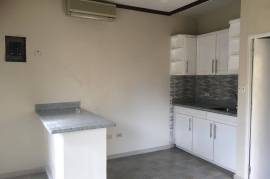 1 Bedrooms 2 Bathrooms, Apartment for Rent in Kingston 19