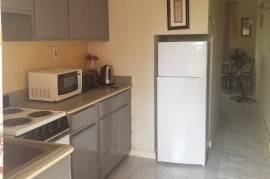 1 Bedrooms 1 Bathrooms, Apartment for Rent in Montego Bay