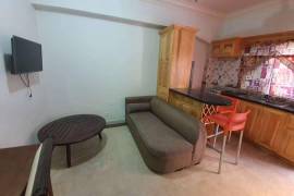 1 Bedrooms 2 Bathrooms, Apartment for Rent in Montego Bay