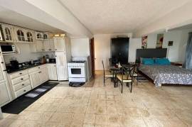 1 Bedrooms 1 Bathrooms, Apartment for Rent in Kingston 19