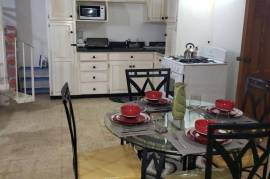 1 Bedrooms 1 Bathrooms, Apartment for Rent in Kingston 19