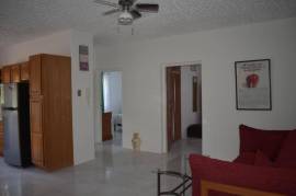 2 Bedroom Apartment For Rent In Kingston & St. Andrew