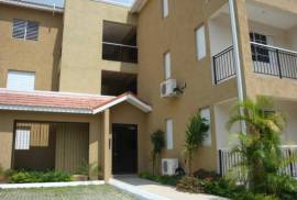 1 Bedroom Apartment For Rent In Kingston & St. Andrew