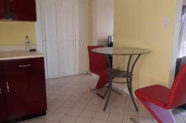 1 Bedroom Apartment For Rent In Kingston & St. Andrew