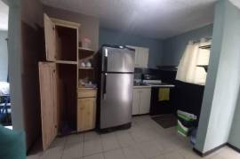 1 Bedroom Apartment For Rent In Kingston & St. Andrew