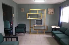 1 Bedroom Apartment For Rent In Kingston & St. Andrew