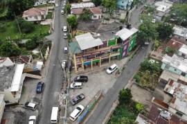 Commercial Bldg/Industrial for Sale in Linstead