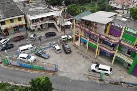 Commercial Bldg/Industrial for Sale in Linstead