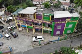 Commercial Bldg/Industrial for Sale in Linstead