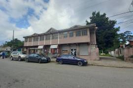 Commercial Bldg/Industrial for Sale in Moneague