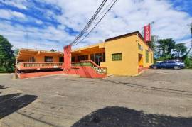 Commercial Bldg/Industrial for Sale in Linstead