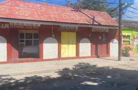 Commercial Bldg/Industrial for Sale in Kingston 4