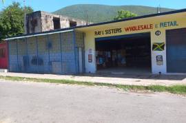 Commercial Bldg/Industrial for Sale in Kingston 2