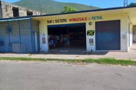 Commercial Bldg/Industrial for Sale in Kingston 2
