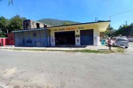 Commercial Bldg/Industrial for Sale in Kingston 2