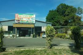 Commercial Bldg/Industrial for Rent in Montego Bay