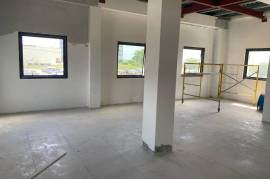 Commercial Bldg/Industrial for Rent in Kingston 1