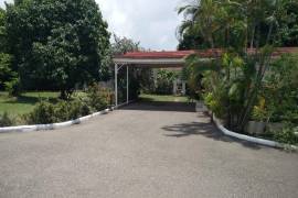 Commercial Bldg/Industrial for Rent in Kingston 10